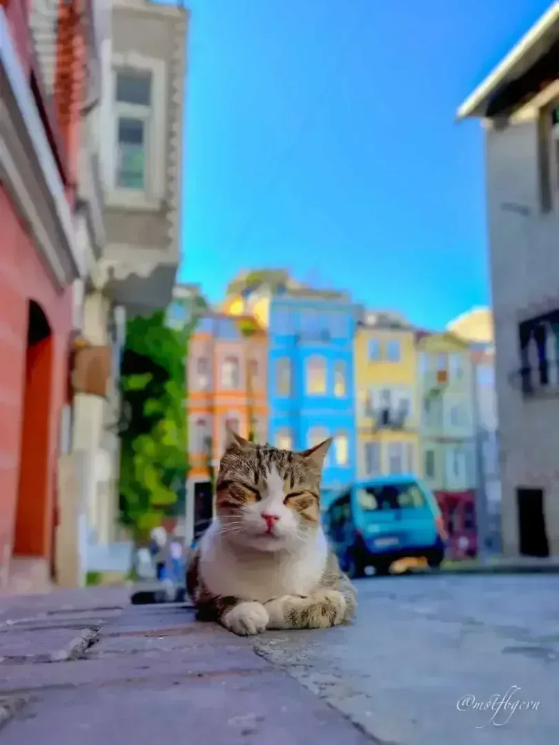 Fotoloji - Balat Kiremit Caddesi