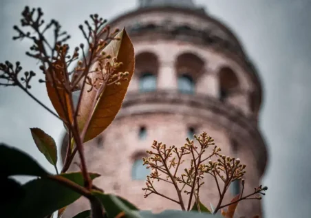 Galata Kulesi'nin önündeki çiçekleriyle dramatik manzara _by fotoloji