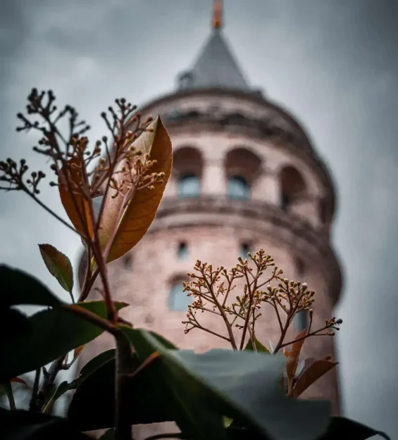 Galata Kulesi'nin önündeki çiçekleriyle dramatik manzara _by fotoloji