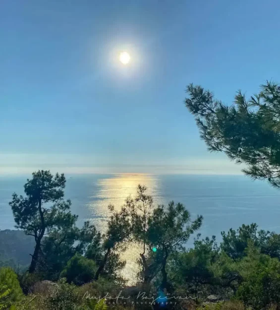 Öğle güneşinin altında pırıl pırıl denizi gözler önüne seren tepeden Adalar adalarının muhteşem panoramik manzarası. _by fotoloji