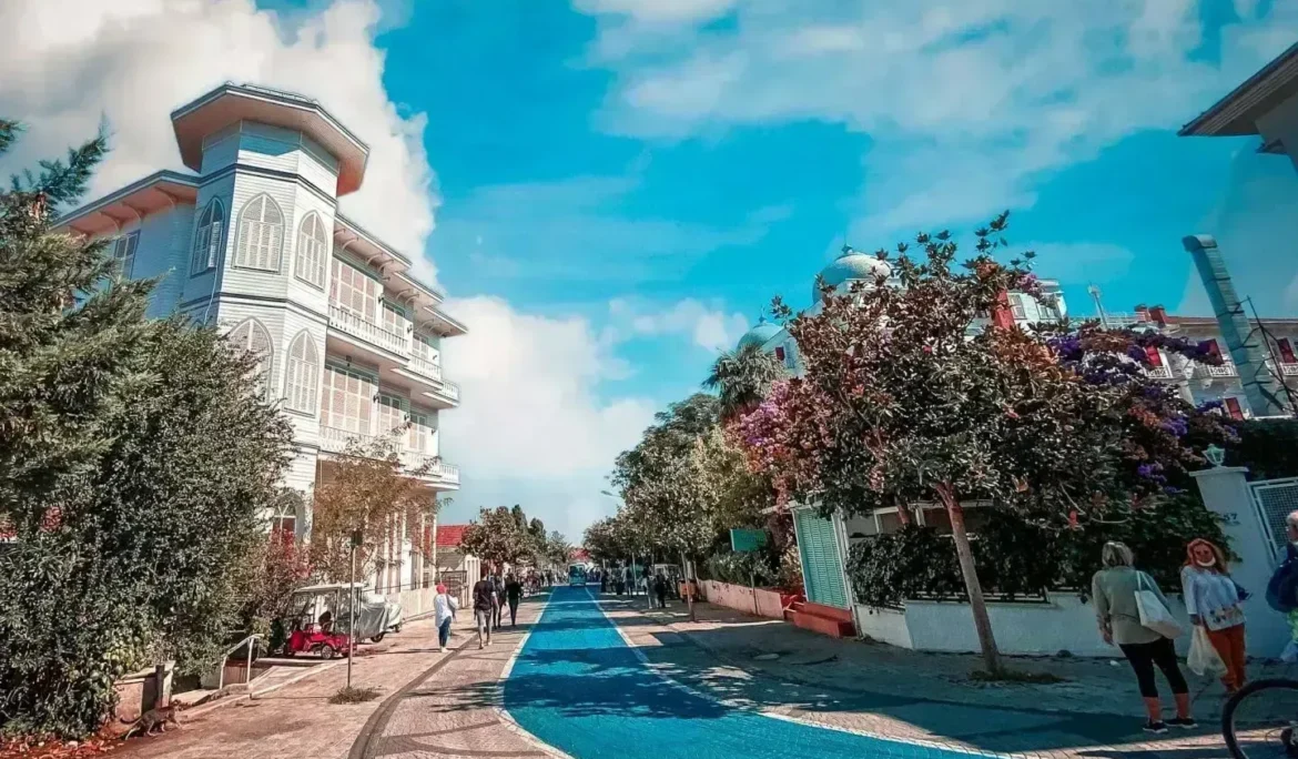 Adalar'ın tarihi konak ve mavi bisiklet yolu ile büyüleyici sokak manzarası. _by fotoloji