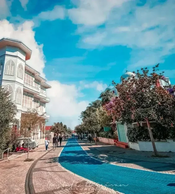 Adalar'ın tarihi konak ve mavi bisiklet yolu ile büyüleyici sokak manzarası. _by fotoloji