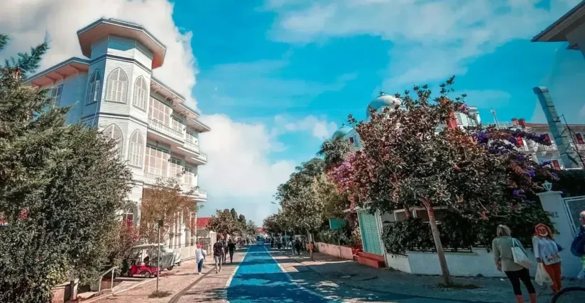 Adalar'ın tarihi konak ve mavi bisiklet yolu ile büyüleyici sokak manzarası. _by fotoloji