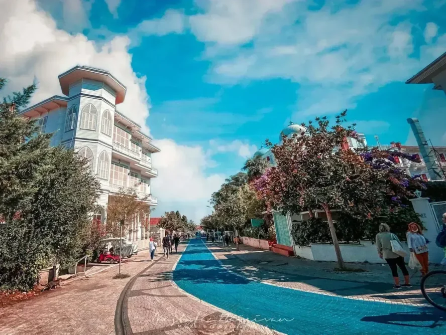 Adalar'ın tarihi konak ve mavi bisiklet yolu ile büyüleyici sokak manzarası. _by fotoloji