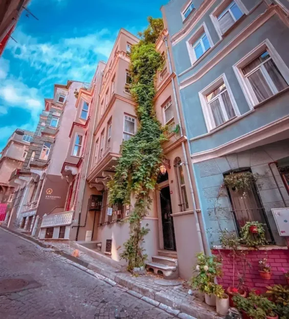 İstanbul, Türkiye'deki rengarenk Balat evleri. Bir binanın üzerinde sarmaşık yetişiyor. Balat'ın tarihi mimarisi. _by fotoloji