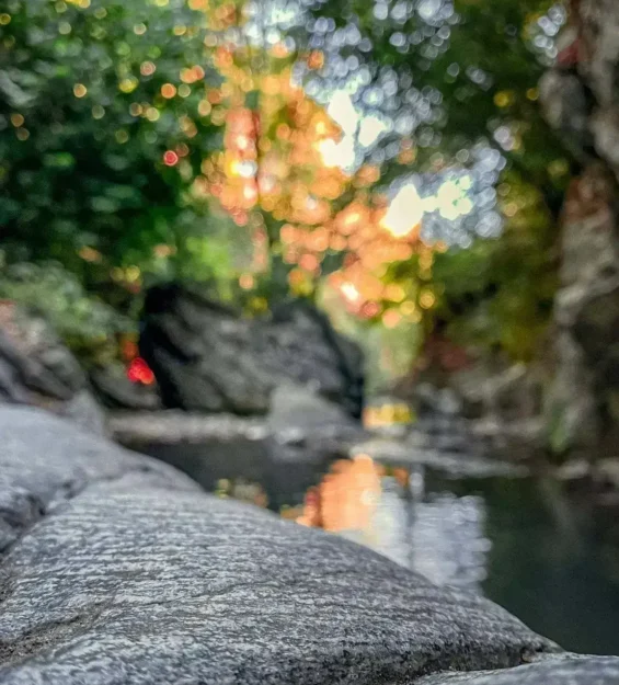 Doga Buyulu Dunyaya Yolculuk 21