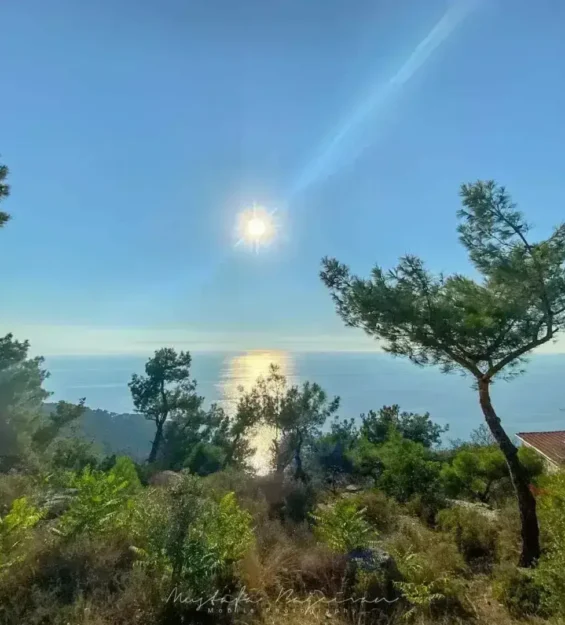 Doga Buyulu Dunyaya Yolculuk 41