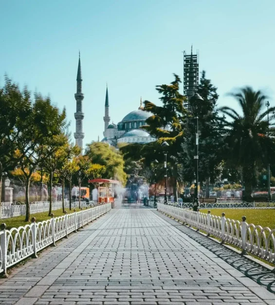 Türkiye, İstanbul'daki Sultan Ahmet Camii'ne giden Arnavut kaldırımlı yol. Yürüyüş yolunu yemyeşil bitkiler ve palmiye ağaçları süslüyor. by fotoloji
