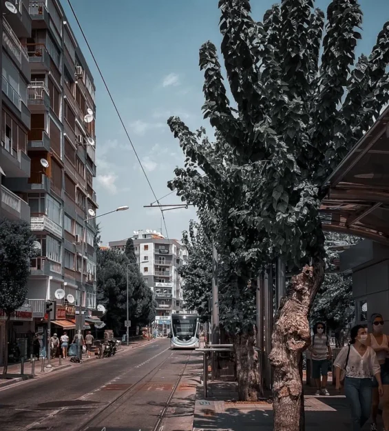 Şehir caddesinde, binaların ve ağaçların yanından geçen modern tramvay. by fotoloji