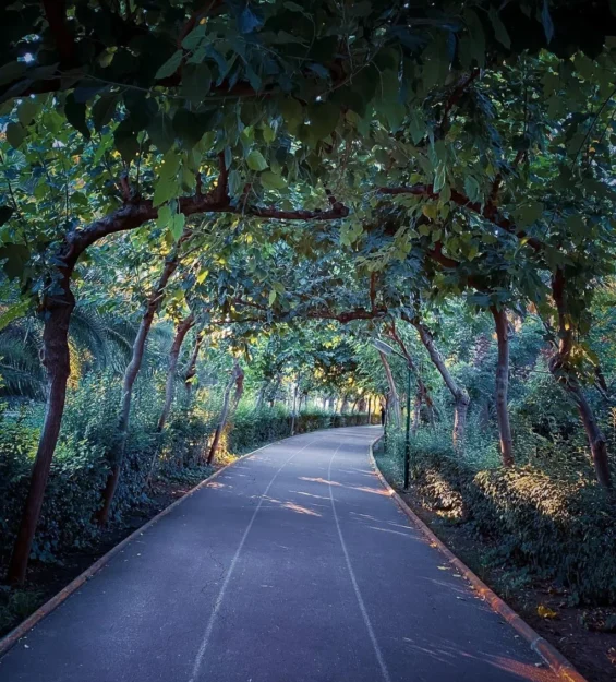 Yemyeşil ağaçların gölgesinde manzaralı koşu yolu by fotoloji