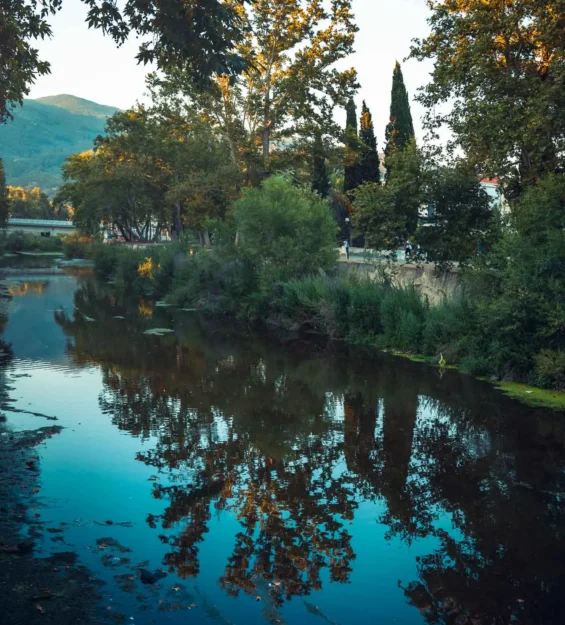 Gün batımında ağaçların ve gökyüzünün yansımasıyla sakin nehir _by fotoloji