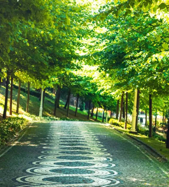 Yemyeşil ağaçlarla çevrili desenli taş yürüyüş yoluna sahip manzaralı park yolu. _by fotoloji
