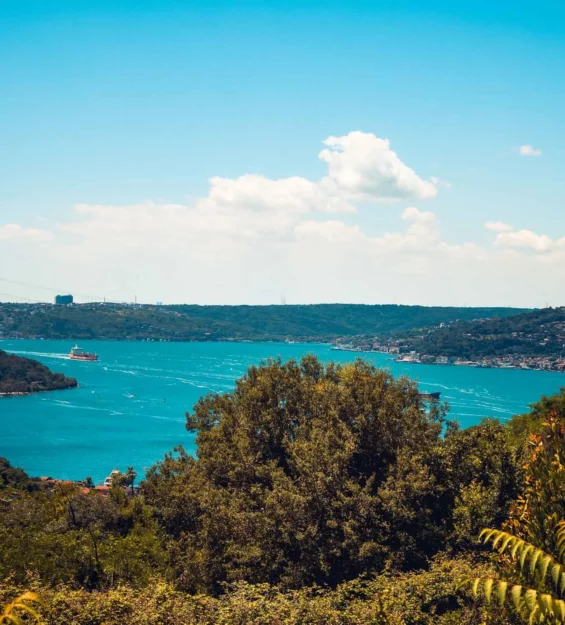 Türkiye'nin İstanbul şehrinde, yemyeşil tepeler ve bir kargo gemisiyle Boğaz'ın muhteşem manzarası. _by fotoloji