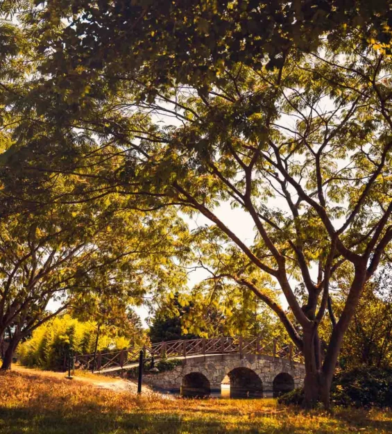 Parktaki yapraklı ağaçların altında taş kemer köprü _by fotoloji