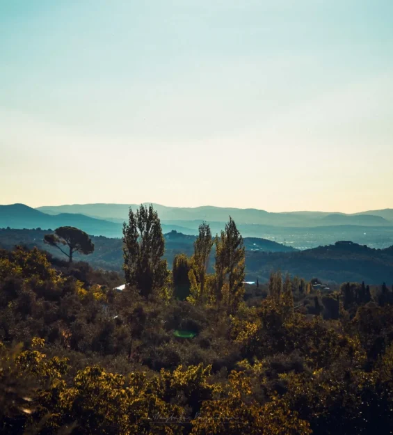 Berrak bir gökyüzünün altında uzak dağlar ve dağınık ağaçlarla çevrili manzaralı yamaç manzarası. _by fotoloji