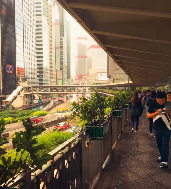 Hong Kong şehir manzarasının yüksekteki yürüyüş yolundan, gökdelenlerden ve yayalardan yağmurlu bir gündeki görünümü. _by fotoloji