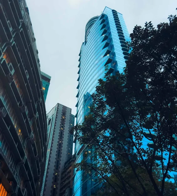 Modern Hong Kong gökdelenleri ve yemyeşil ağaçlar. Muhteşem Hong Kong mimarisi. _by fotoloji