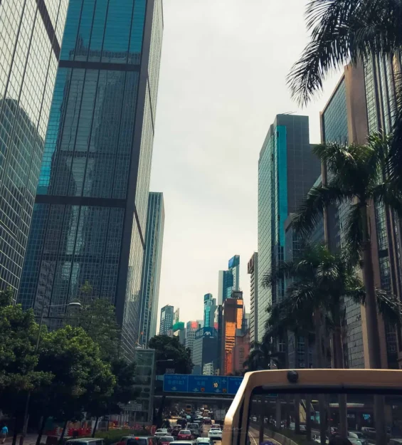 Hong Kong mimarisi ve şehir manzarası, gökdelenler, palmiye ağaçları _by fotoloji