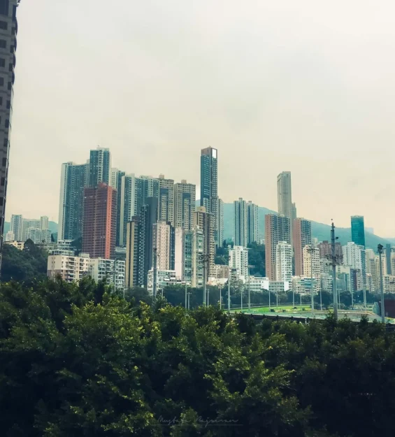 Hong Kong manzarasında modern gökdelenler ve yemyeşil alanlar _by fotoloji