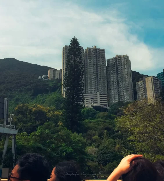 Hong Kong manzarası, yüksek binalar ve yeşil tepelerle çevrili _by fotoloji
