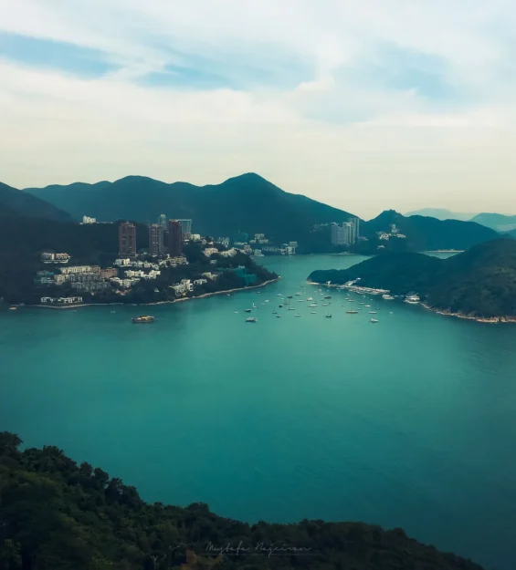 Hong Kong manzarası, deniz ve yeşil tepelerle çevrili modern binalar _by fotoloji