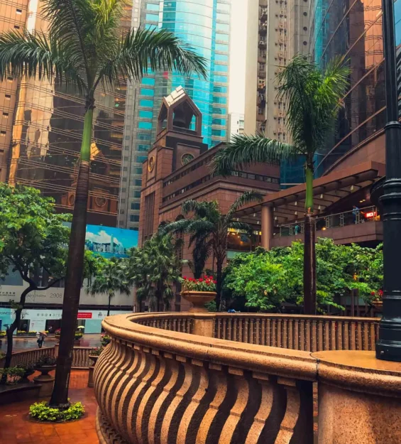 Palmiye ağaçlarıyla çevrili Hong Kong gökdelenleri arasında modern mimari _by fotoloji