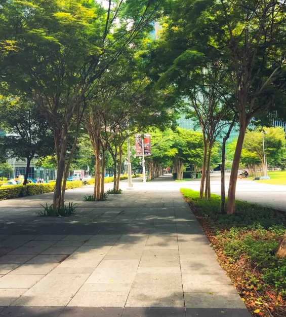 Singapur şehir manzarası: Modern binalar arasında ağaçlarla çevrili yürüyüş yolu. Singapur'un mimarisine ve kentsel peyzajına bir bakış. _by fotoloji