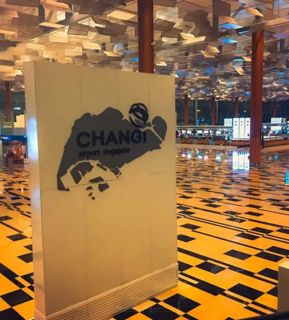 Changi Havalimanı'nın iç dünyası, Singapur harikaları ve modern mimari _by fotoloji