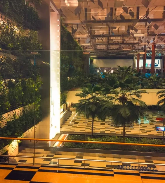Singapur havaalanında yemyeşil bitkilerle kaplı mekan iç mimarisi _by fotoloji