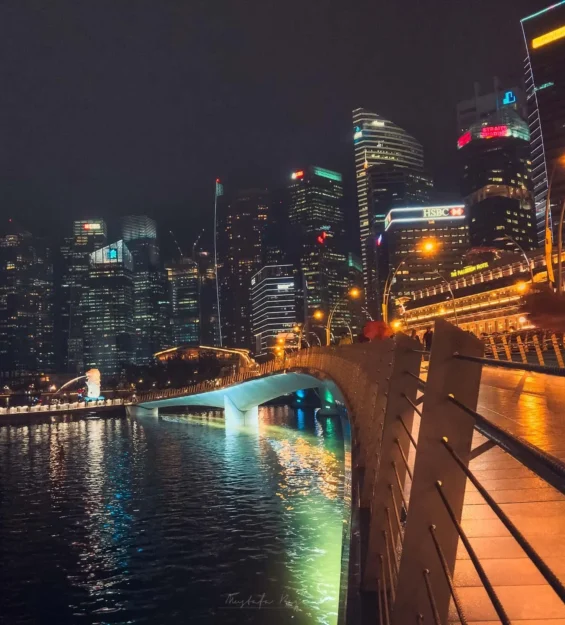Modern mimari ve Merlion heykelinin yer aldığı Singapur şehir manzarasının gece görünümü. _by fotoloji