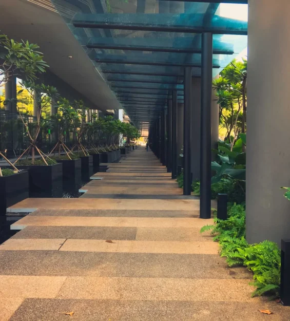 Modern Singapur mimarisi: Yemyeşil bitkilerle çevrili sakin bir yürüyüş yolu. _by fotoloji