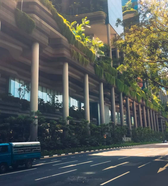 Singapur'da bir cadde boyunca uzanan yemyeşil modern bir bina _by fotoloji