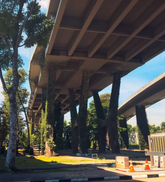 Singapur mimarisi: Bir otoyol üst geçidinin altında büyüyen yemyeşil bitki örtüsü, Singapur'daki doğa ve kentsel gelişimin eşsiz birleşimini sergiliyor. _by fotoloji