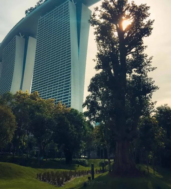 Yemyeşil tropikal peyzajlı modern Singapur mimarisi. Singapur silüeti. _by fotoloji
