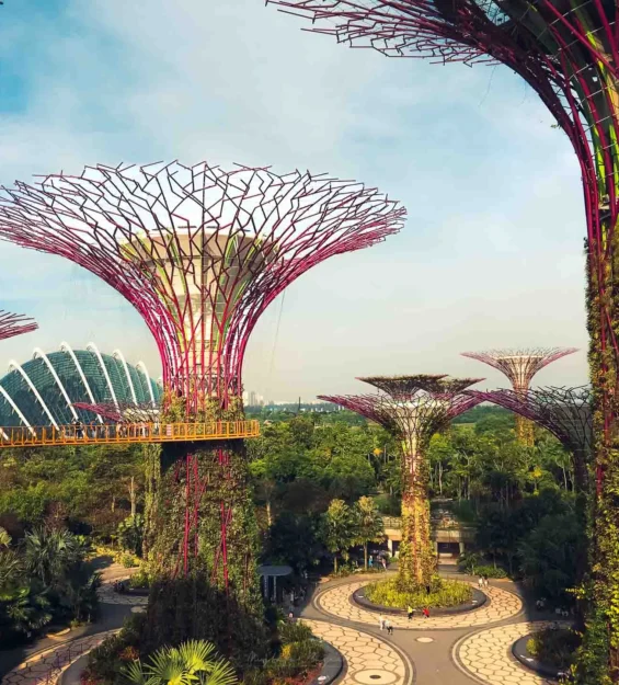 Singapur'daki Gardens by the Bay'deki Supertree Grove. Muhteşem Singapur mimarisi ve manzarası. _by fotoloji