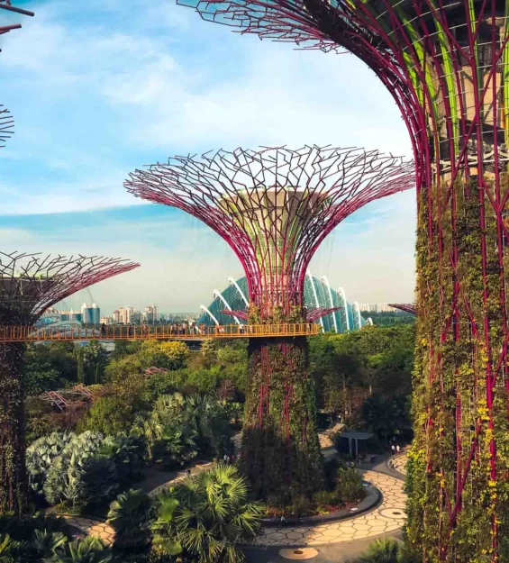 Singapur'un kült sembolü Supertree Grove'un eşsiz mimarisi ve manzarası _by fotoloji