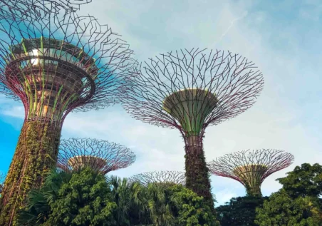 singapur-fotograf.galerisi-63 Singapur'daki Gardens by the Bay'deki ikonik süper ağaçlar. Muhteşem Singapur mimarisi. _by fotoloji