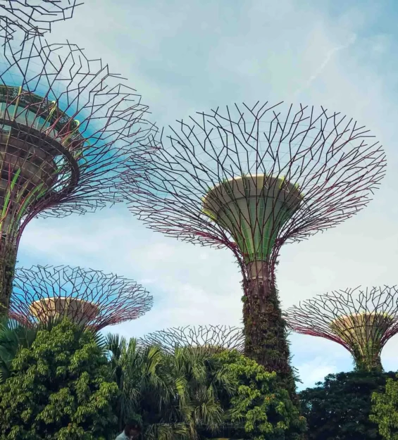 Singapur'daki Gardens by the Bay'deki ikonik süper ağaçlar. Muhteşem Singapur mimarisi. _by fotoloji