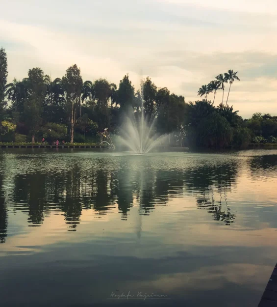 Singapur parkında havuz ve çeşme manzarası _by fotoloji