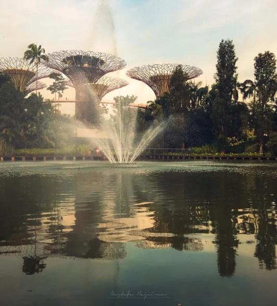 Singapur Gardens by the Bay Supertree Grove'un sakin bir göletteki yansıması. _by fotoloji
