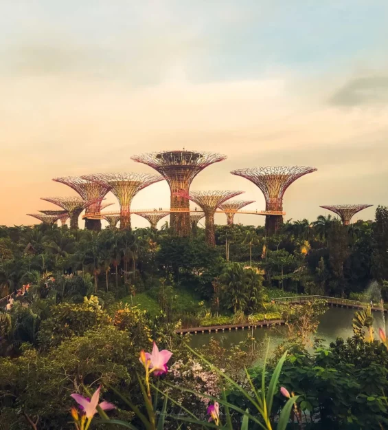 Gardens by the Bay'deki Singapur Süper Ağaçları, gün batımında eşsiz mimariyi sergiliyor. Muhteşem bir Singapur manzarası. _by fotoloji