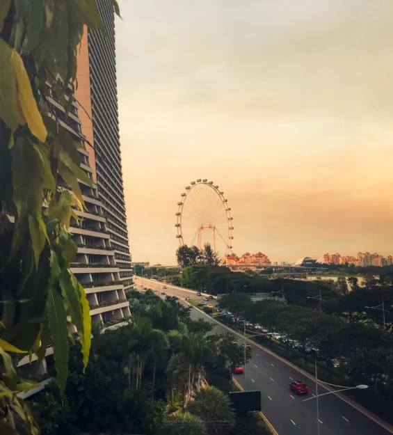 Gün batımında Singapur silüeti, Singapore Flyer ve modern mimari. Muhteşem Singapur manzaraları. _by fotoloji