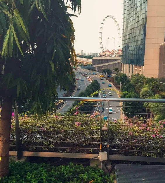 Singapur silüeti: modern mimari, yemyeşil doğa ve Singapore Flyer dönme dolabı. _by fotoloji