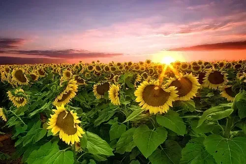 hdr yuksek dinamik aralik fotograf nasil cekilir 3