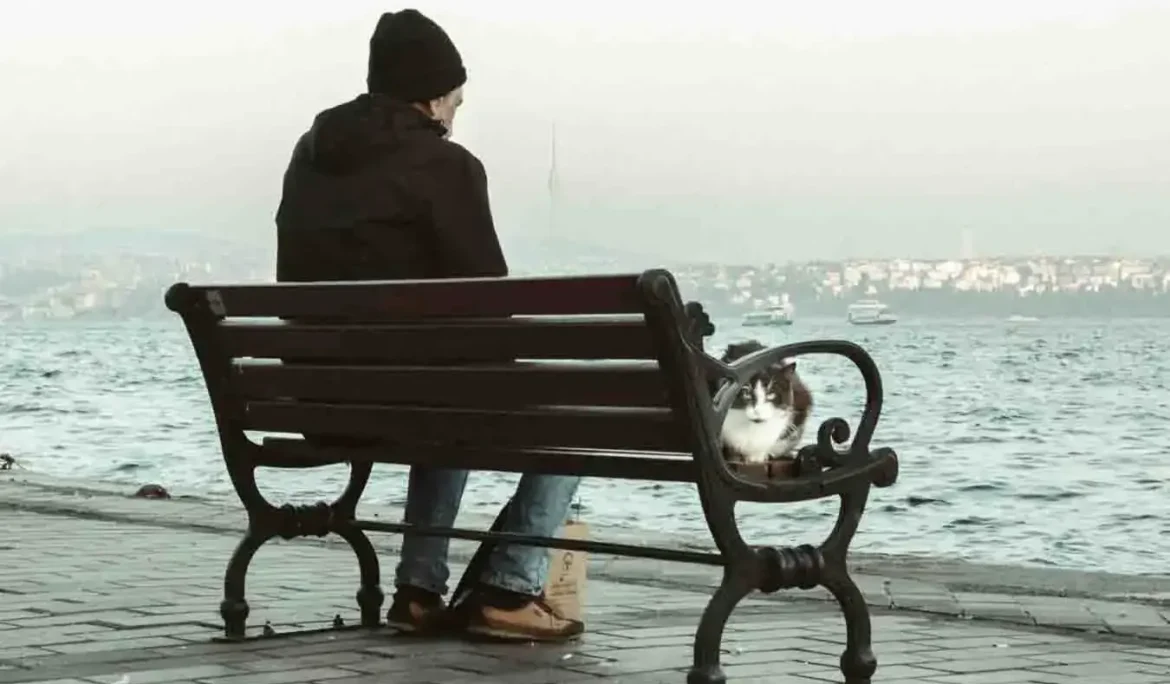 İstanbul sahiline bakan kedili bankta oturan adam.