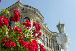 Mimari: Yapıların Ruhu 45 Mimari 00042