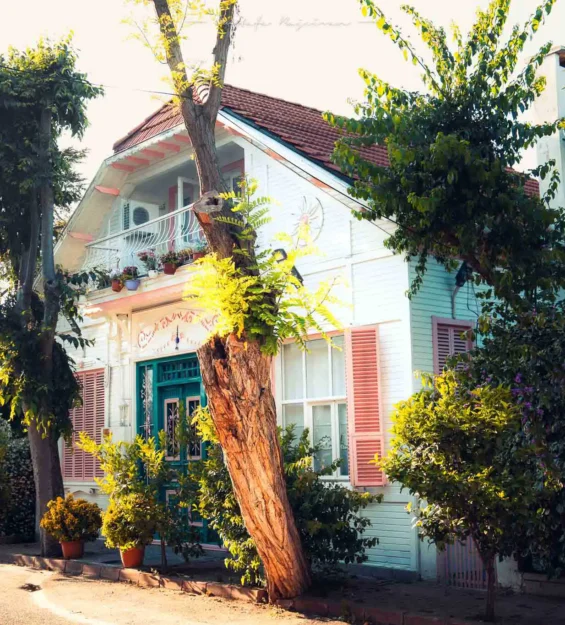 Pembe panjurlu ve yemyeşil bitki örtüsüne sahip büyüleyici sahil evi.