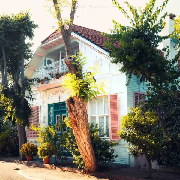 Adalar 00027