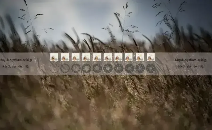 alan-derinligi-fotografcilik-ve-videografide-keskinlik-kontrolu