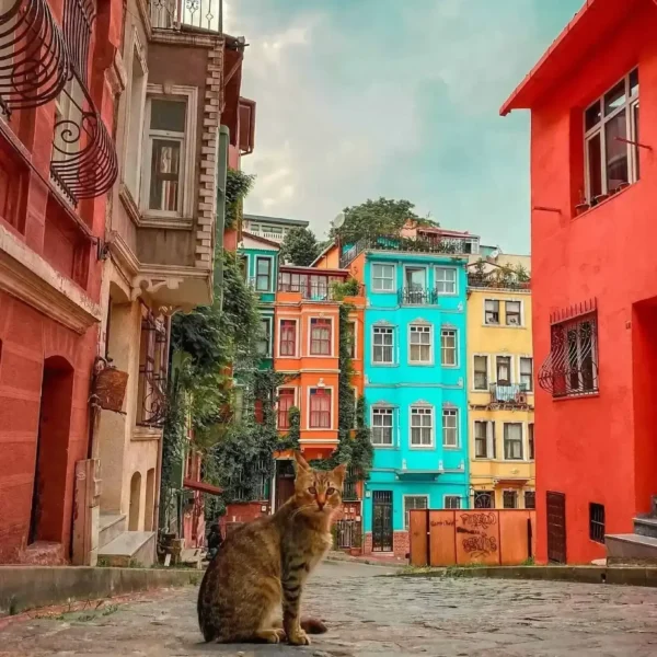 Balat 00006
